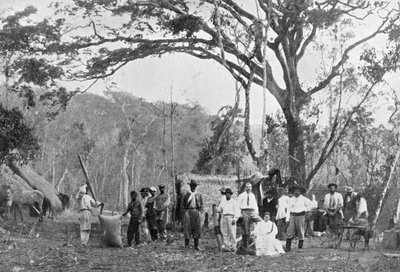 Paraguayansk tesamling, Paraguay, 1911 af Unbekannt