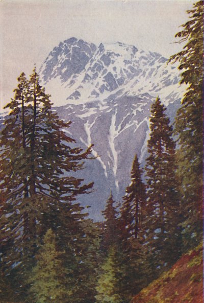 Top i Himalaya, 1924 af Unbekannt