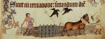 Bønder pløjer fra Luttrell Psalter, ca 1330 af Unbekannt