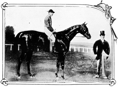 Persimmon, 1911 af Unbekannt