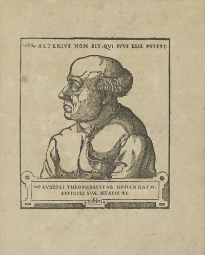 Philippus Theophrastus Aureolus Bombastus von Hohenheim Paracelsus, ca 1538. af Unbekannt