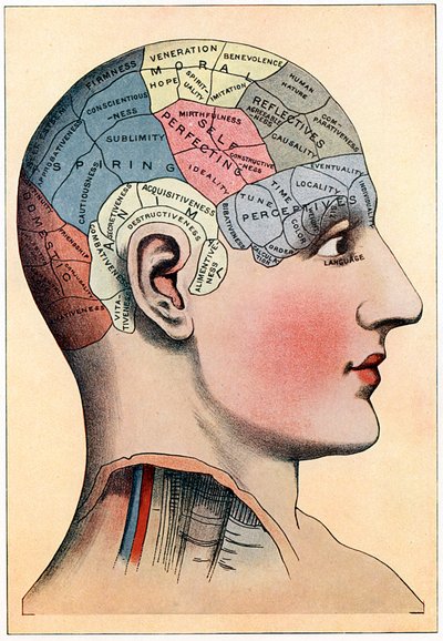 Frenologidiagram, der viser formodede aktivitetsområder i hjernen, c1920 af Unbekannt