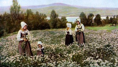Plukker blomster på en eng nær Leksand, Sverige, c1923 af Unbekannt