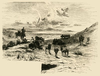 Marathon-sletten, 1890. af Unbekannt