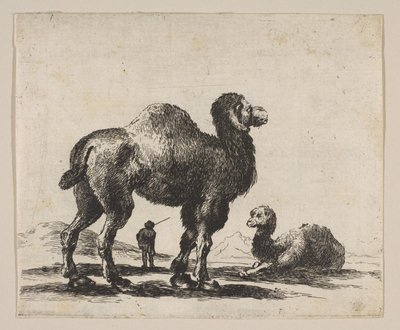 Tavle 17: kameler, fra Diverse dyr Diversi animali, efter 1641. af Unbekannt