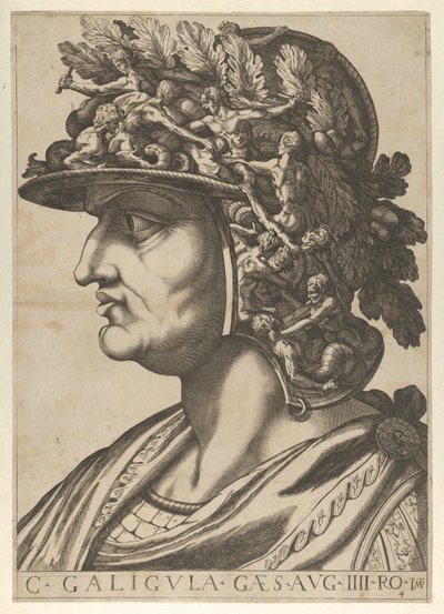 Plade 4: Caius i profil mod venstre, fra 