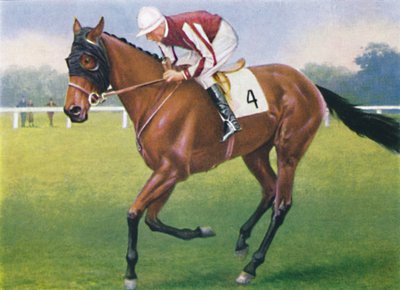 Portobello, Jockey: P. Beasley, 1939 af Unbekannt