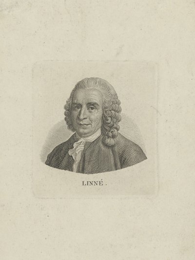 Portræt af Carl Linnaeus 1707-1778, ca. 1780. af Unbekannt