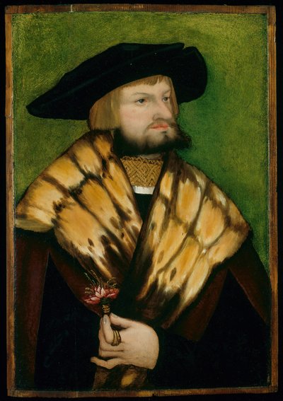 Portræt af Leonhard Fuchs, 1525. af Unbekannt