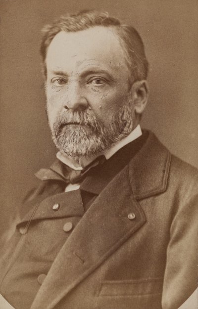 Portræt af Louis Pasteur 1822-1895, ca. 1870. af Unbekannt