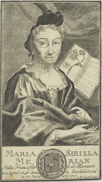 Portræt af Maria Sibylla Merian 1647-1717, 1755. af Unbekannt