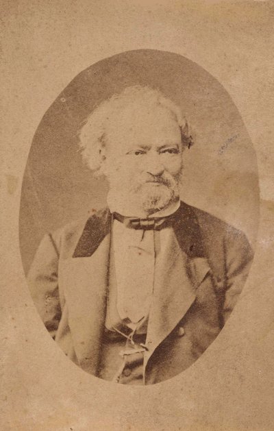 Portræt af pianist og komponist Ferenc Erkel 1810-1893, ca. 1875. af Unbekannt