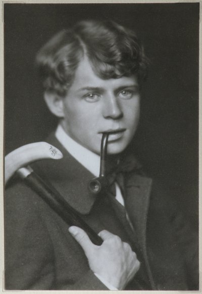Portræt af digteren Sergei Yesenin 1895-1925, 1919 af Unbekannt