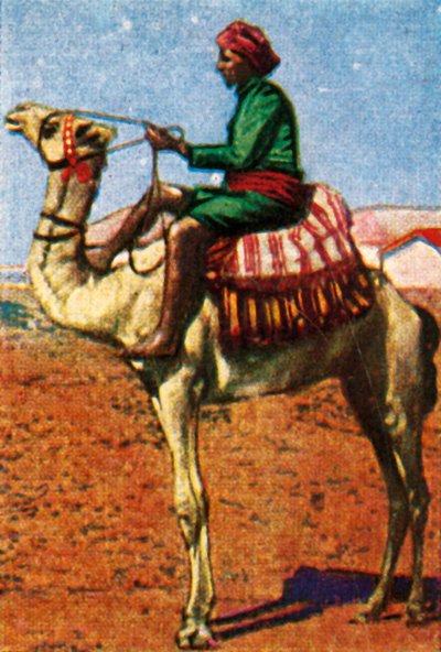 Post leveret af camel, Arabia, c1928. af Unbekannt