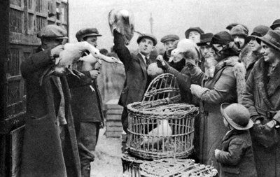 Fjerkræhandlere, Caledonian Market, London, 1926-1927 af Unbekannt