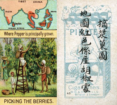 Hauptanbaugebiete für Pfeffer, aus der Serie 