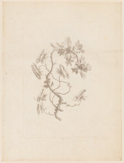 Print (Frankrig) af Unbekannt