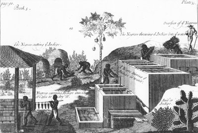 Fremstilling af indigofarve med slavearbejde: Vestindien eller Mellemamerika, 1725 af Unbekannt