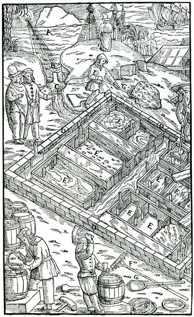 Fremstilling af salt ved at fordampe havvand i saltpander, 1556 af Unbekannt