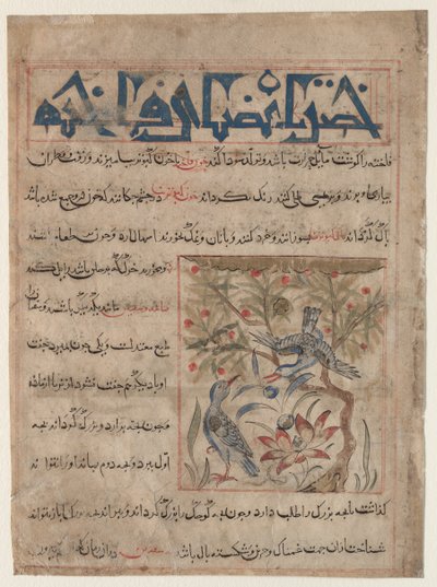 Kvaliteter af Ringdoves recto, Om fordelene ved vagtler verso..., ca. 1300. af Unbekannt
