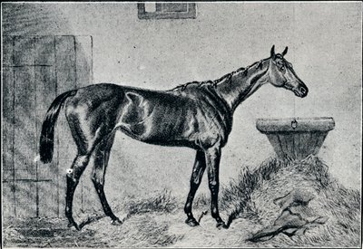 Dronning Bertha, 1800-tallet, 1911 af Unbekannt