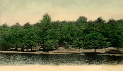 Queensmere, Wimbledon Common, London, 1903. af Unbekannt