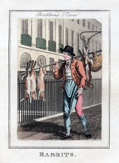 Kaniner, Portland Place, London, 1805 af Unbekannt