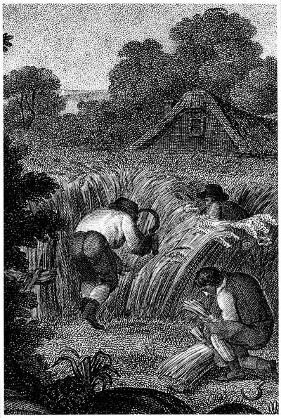 Høst med segl og binding af skærene, England, c1800 af Unbekannt