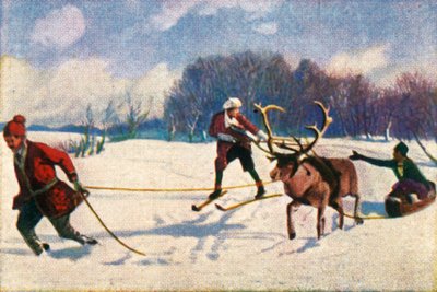 Renslædetur i Sverige, c1928. af Unbekannt