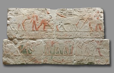 Relief af landbrugsscener, ca. 2311-2281. af Unbekannt