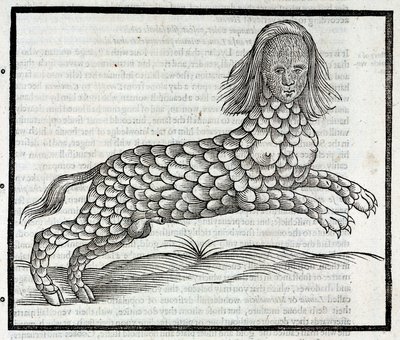 "Representation de la creature Lamia (Sybaris) Dybtryksdæk af "History of Four-Footed Beastes" d