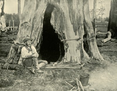 Hvile, 1901. af Unbekannt