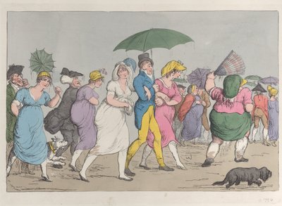 Vender tilbage fra anmeldelse Loyal Ducking, juni 1800, juni 1800. af Unbekannt