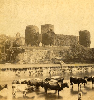 Rhuddlan - Slot fra floden, c1900. af Unbekannt