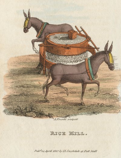 Rismølle, 1813 af Unbekannt