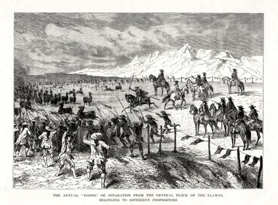 Rodeo, Sydamerika, 1877 af Unbekannt