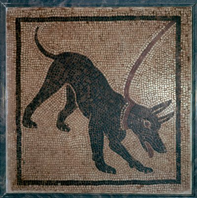 Romersk mosaik af en hund, 1. århundrede af Unbekannt