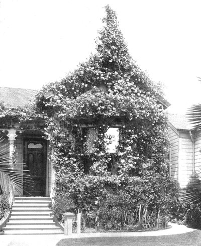Rose Cottage, South Spring Street, Los Angeles, Californien, USA, c1900. af Unbekannt
