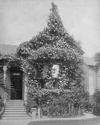 Rose Cottage, South Spring Street, Los Angeles, Californien, c1897. af Unbekannt