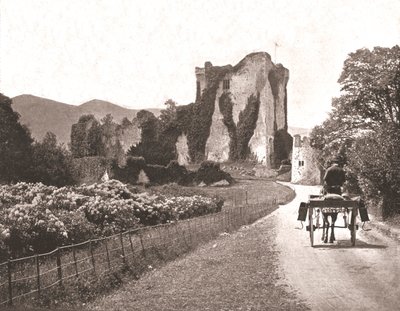 Ross Castle, Isle of Ross, County Kerry, Irland, 1894. af Unbekannt