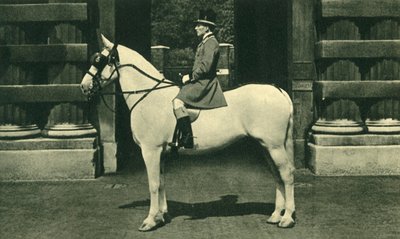 Royal Outrider i Scarlet Livery, 1950