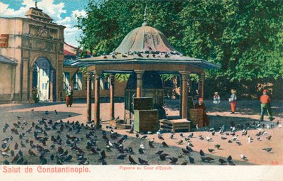 Salut de Constantinople - Duer ved hoffet i Eyoub, c1900 af Unbekannt