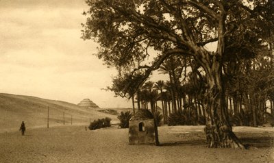 Saqqara - Trinpyramiden set fra Sycomore, c1918-c1939. af Unbekannt