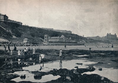 Scarborough - Udsigt fra klipperne, 1895 af Unbekannt