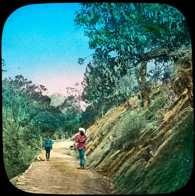Scene på en vej, Murree, Indien, slutningen af det 19. eller begyndelsen af det 20. århundrede af Unbekannt