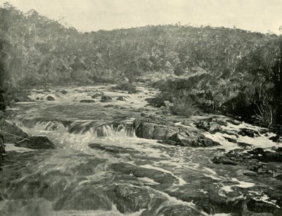Andet bassin, South Esk River, 1901. af Unbekannt