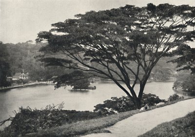 Sø, Temple of the Sacred Tooth Reed og bibliotek i Kandy, set øst fra Victoria Drive, 192 af Unbekannt