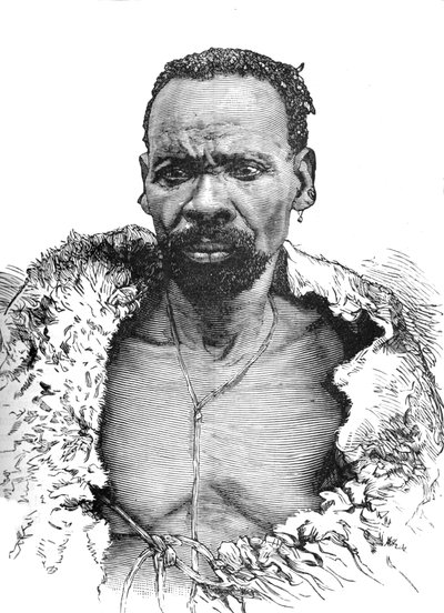 Træ, c1880 af Unbekannt