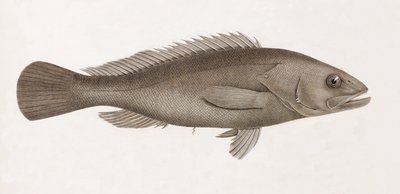 Serran Airain, tæt på af Unbekannt