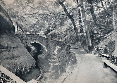 Shanklin - The Chine, 1895 af Unbekannt